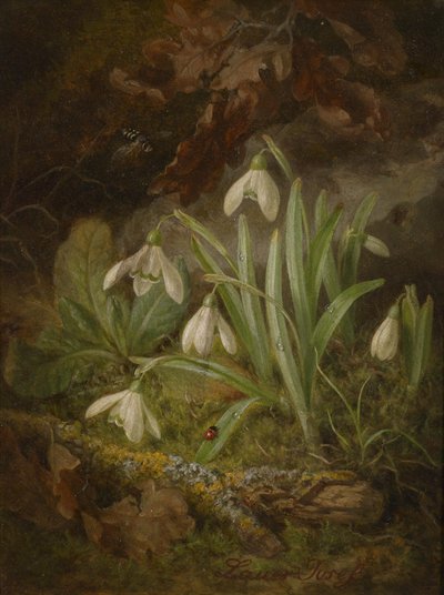 Forest Floor with Snowdrops by Josef Lauer